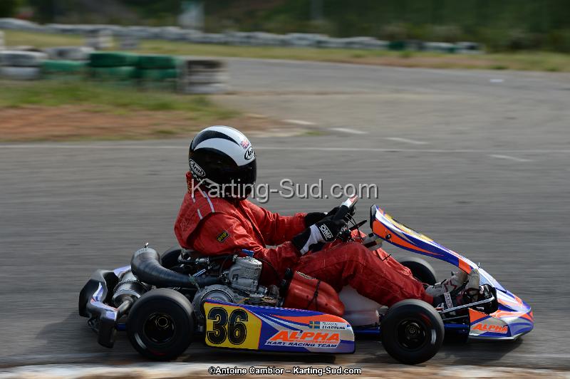 DSC_1928.jpg