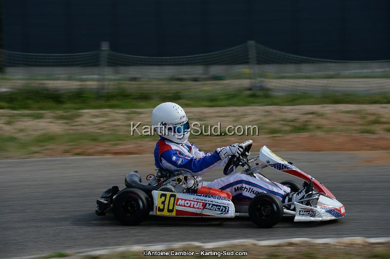 DSC_1951.jpg