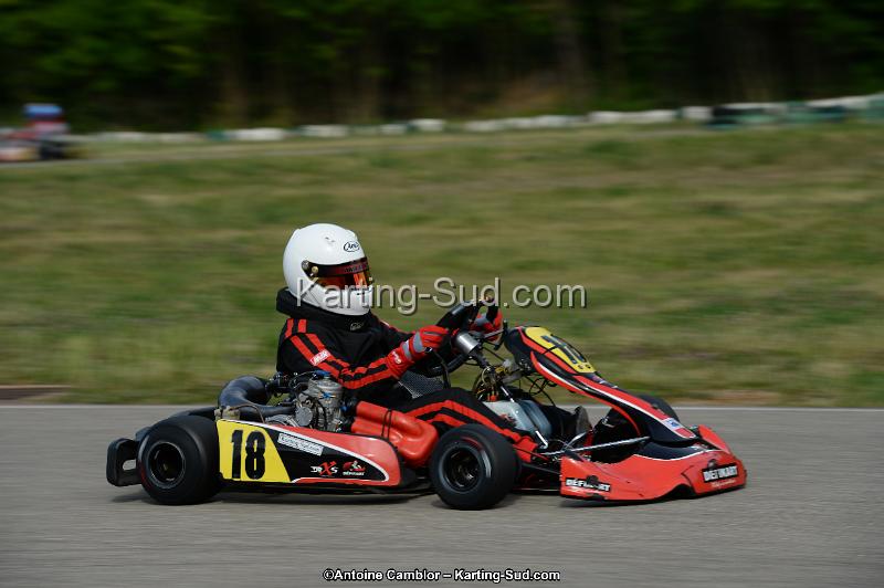 DSC_1954.jpg