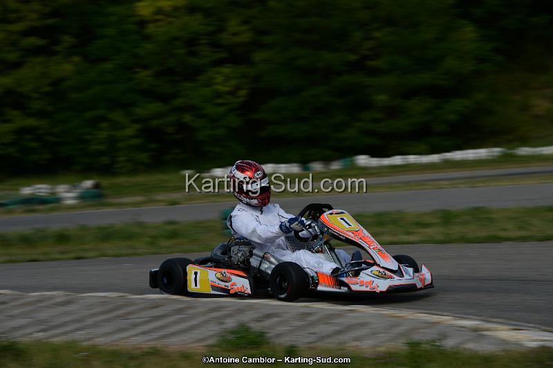DSC_1979.jpg