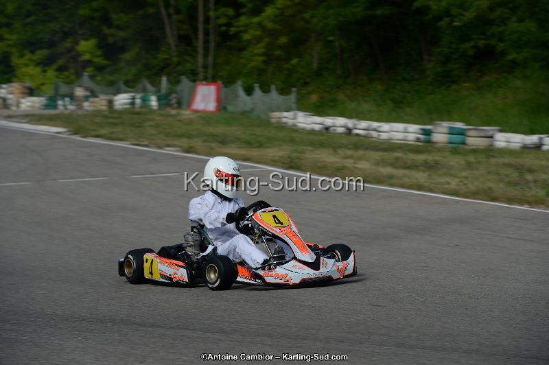 DSC_1998.jpg