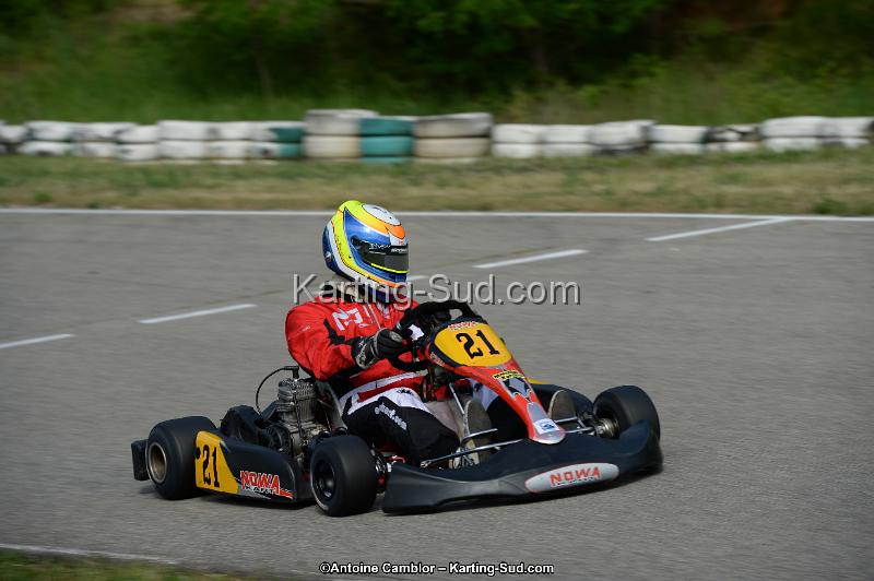 DSC_2003.jpg