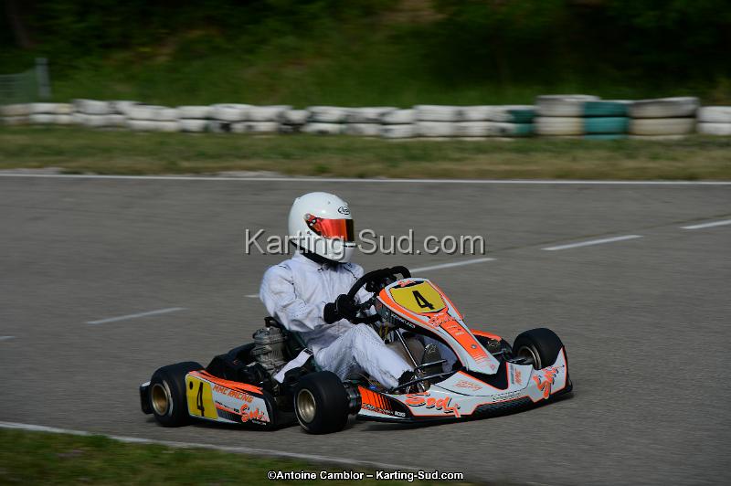 DSC_2004.jpg
