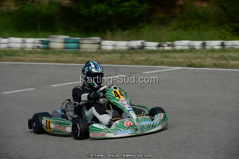 DSC_2005.jpg