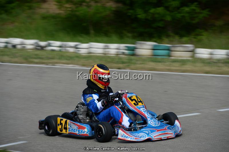 DSC_2006.jpg