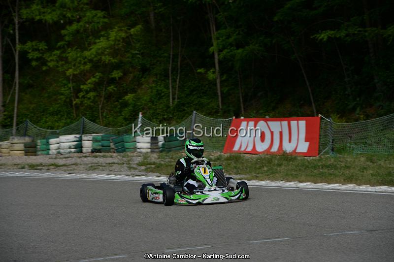 DSC_2008.jpg