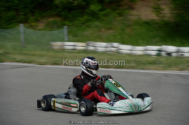DSC_2011.jpg