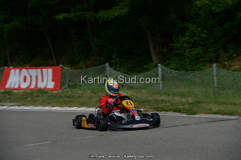 DSC_2012.jpg