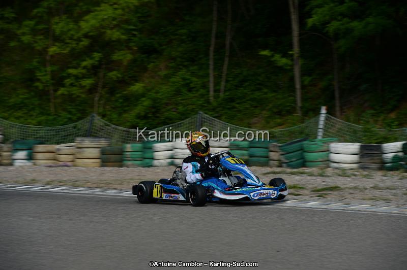 DSC_2015.jpg