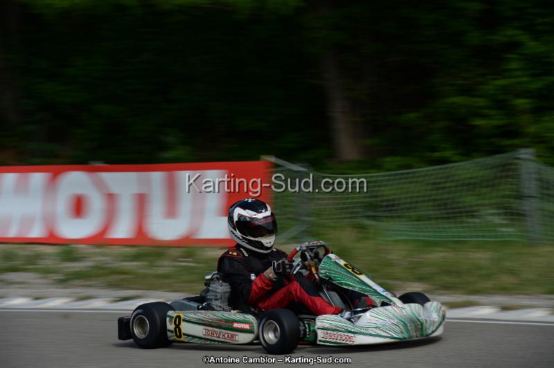 DSC_2019.jpg