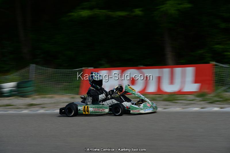 DSC_2037.jpg