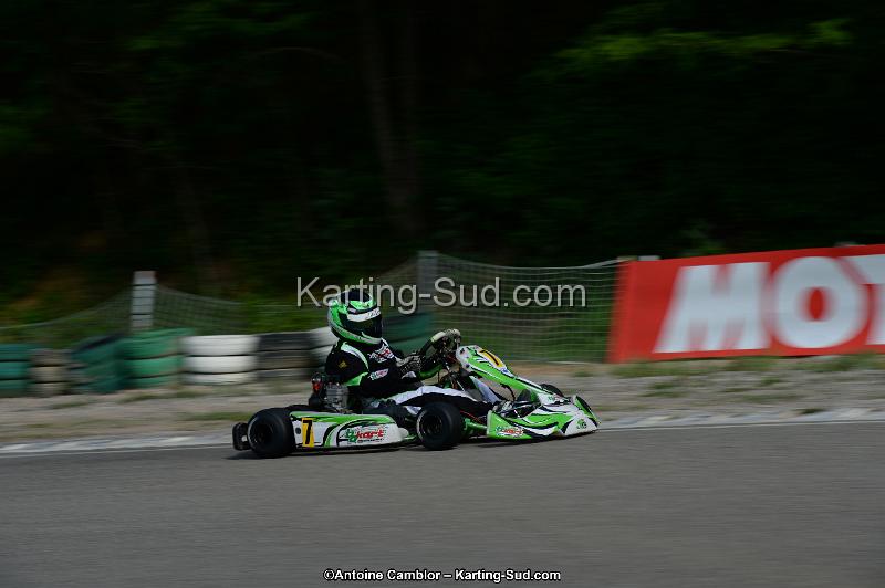 DSC_2040.jpg