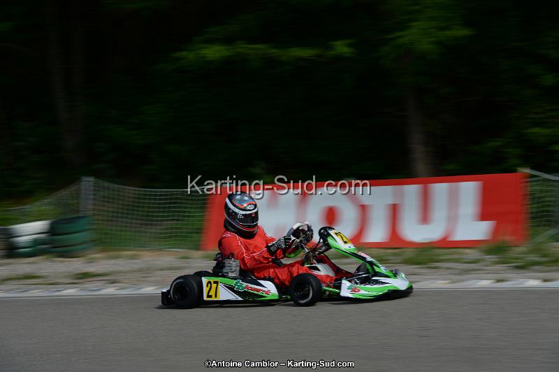 DSC_2041.jpg