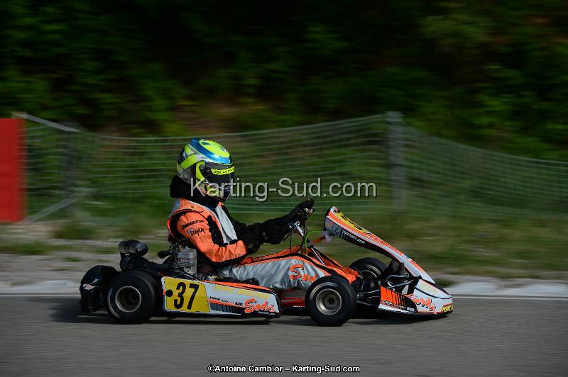 DSC_2047.jpg