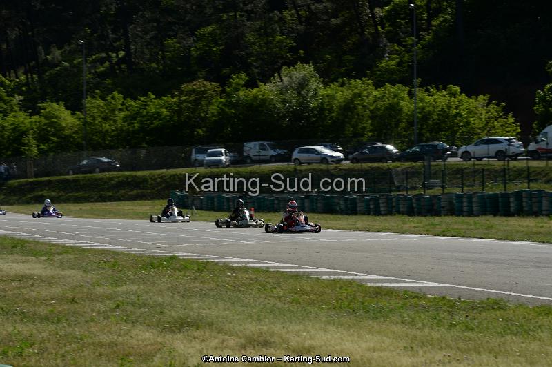 DSC_2065.jpg