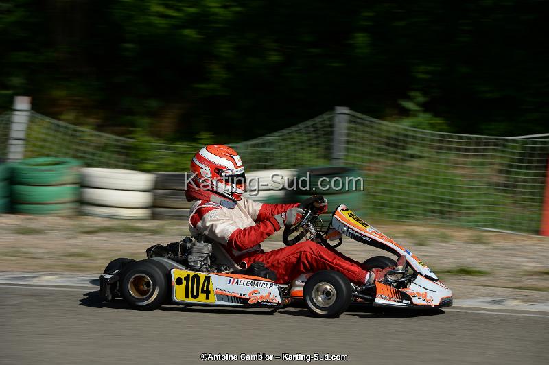 DSC_2084.jpg
