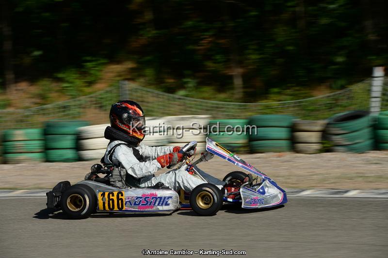 DSC_2162.jpg