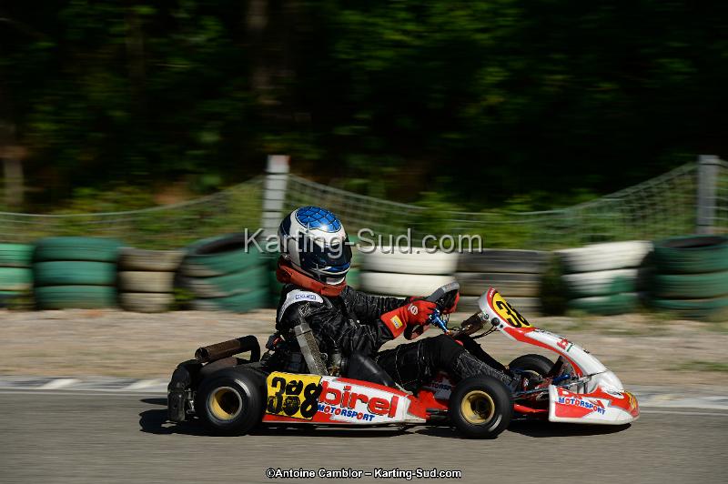 DSC_2203.jpg