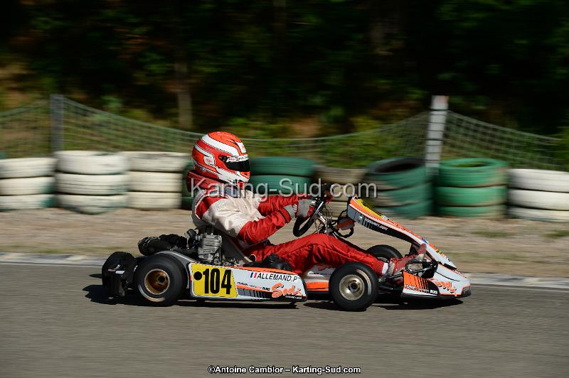 DSC_2213.jpg