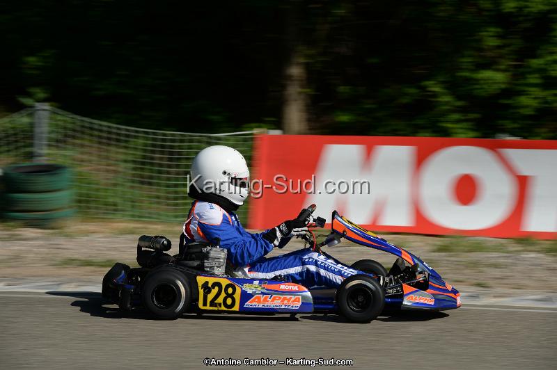 DSC_2217.jpg