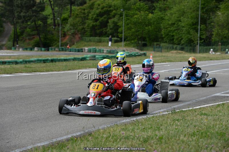 DSC_3223.jpg