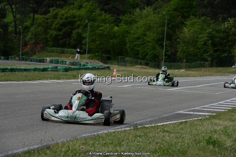 DSC_3235.jpg