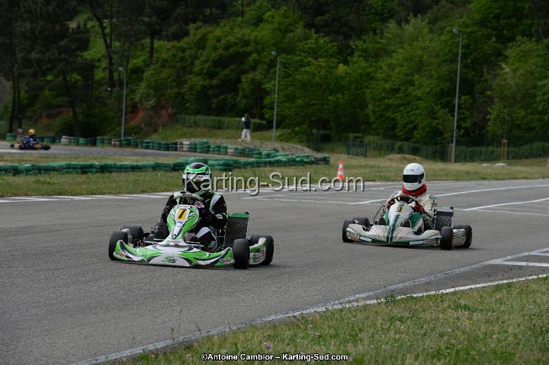 DSC_3236.jpg