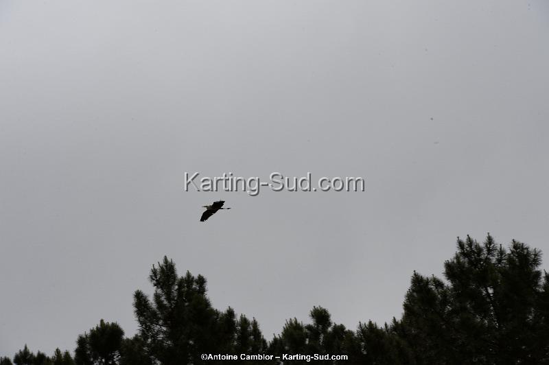 DSC_3241.jpg