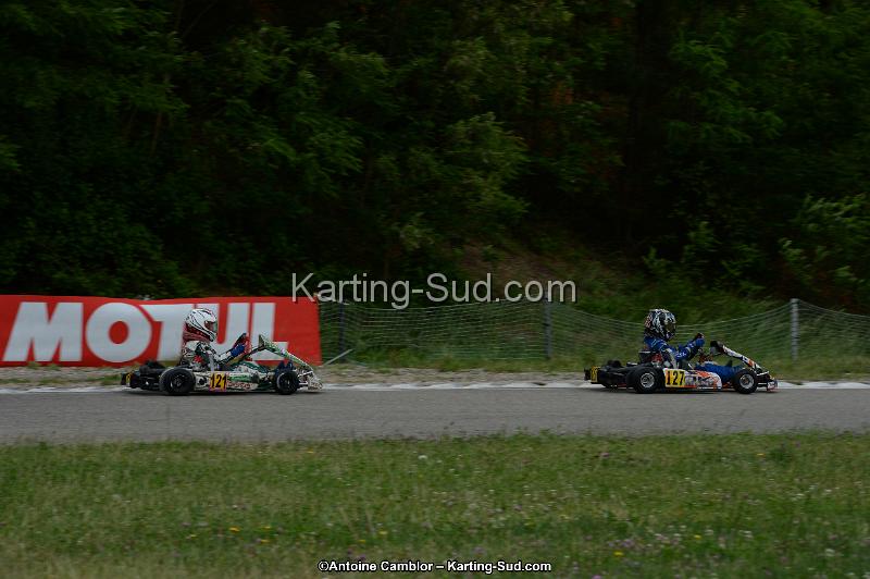 DSC_3294.jpg
