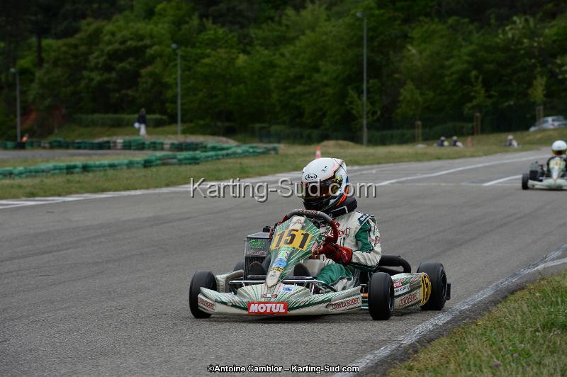 DSC_3295.jpg
