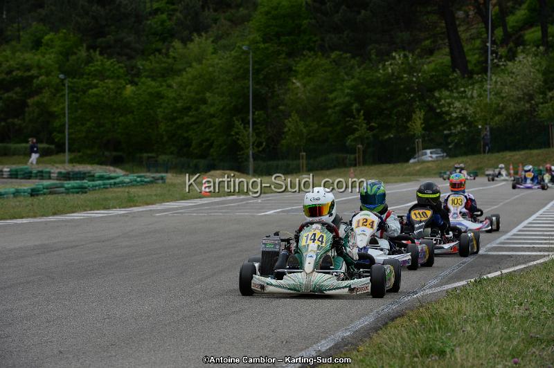 DSC_3296.jpg