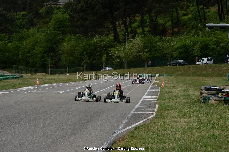 DSC_3342.jpg