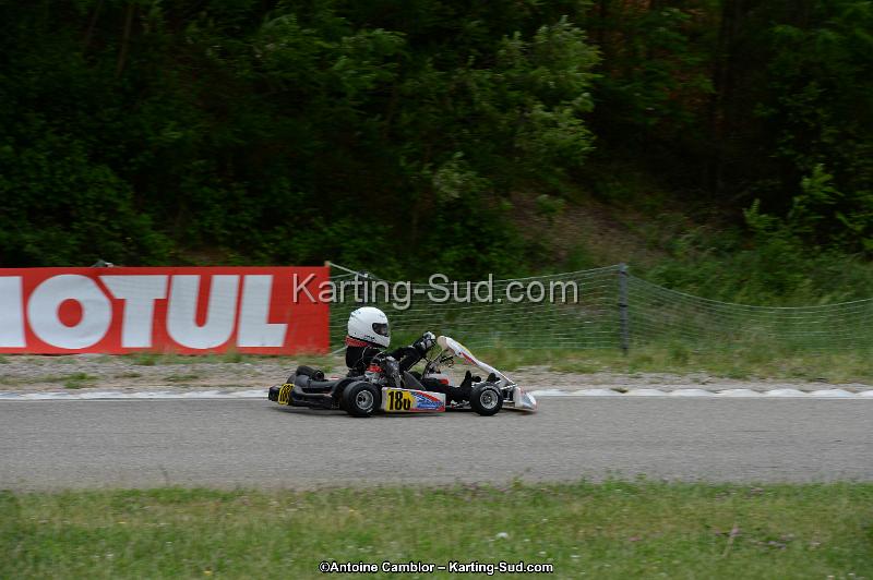 DSC_3345.jpg