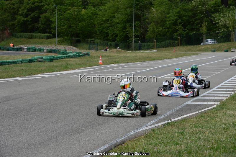 DSC_3347.jpg