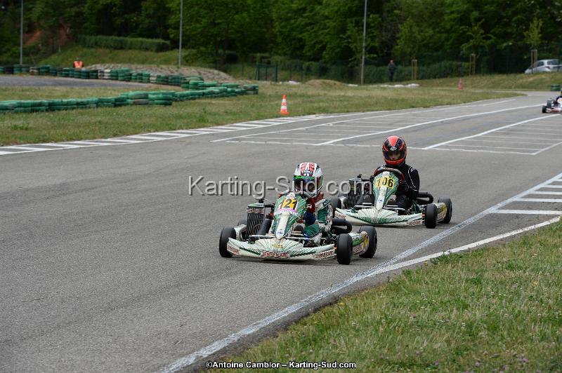 DSC_3351.jpg