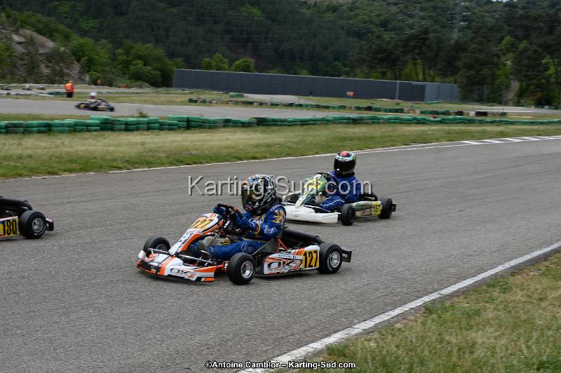 DSC_3375.jpg