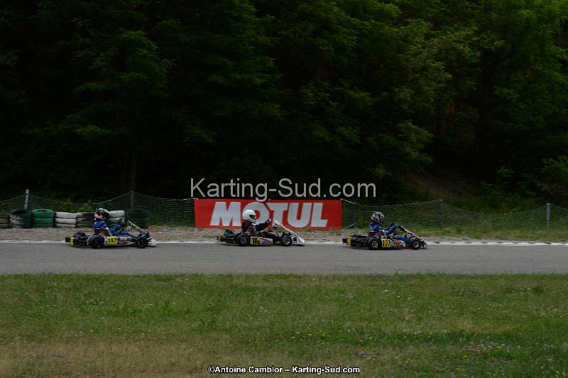 DSC_3377.jpg