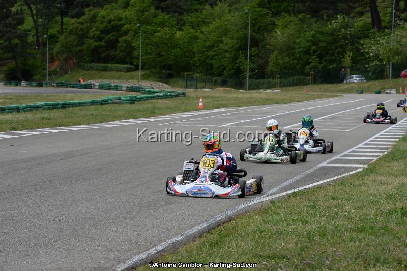 DSC_3381.jpg