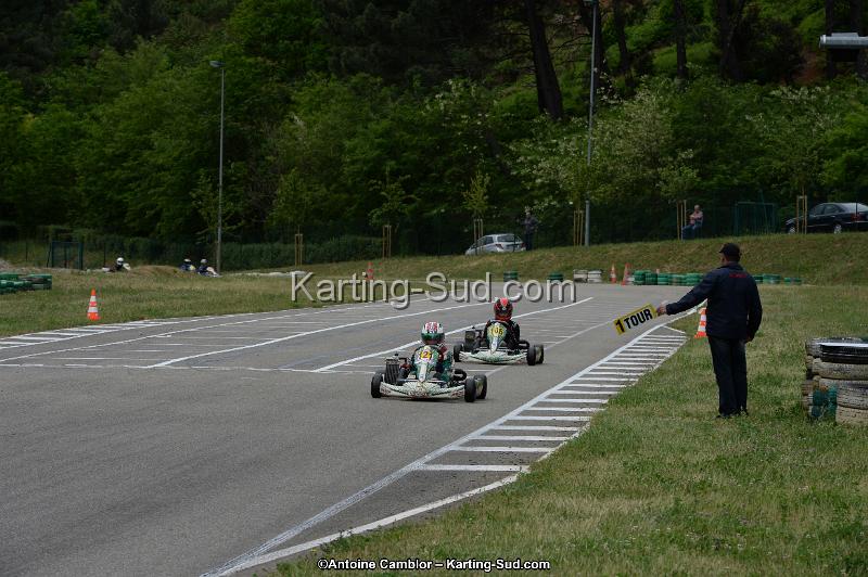 DSC_3385.jpg