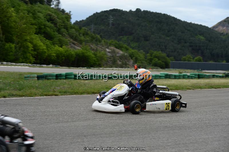 DSC_3460.jpg
