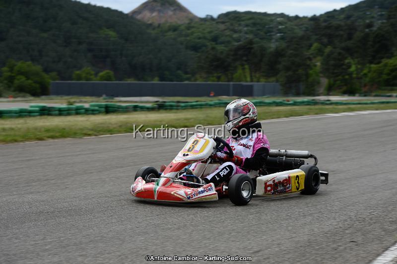 DSC_3462.jpg