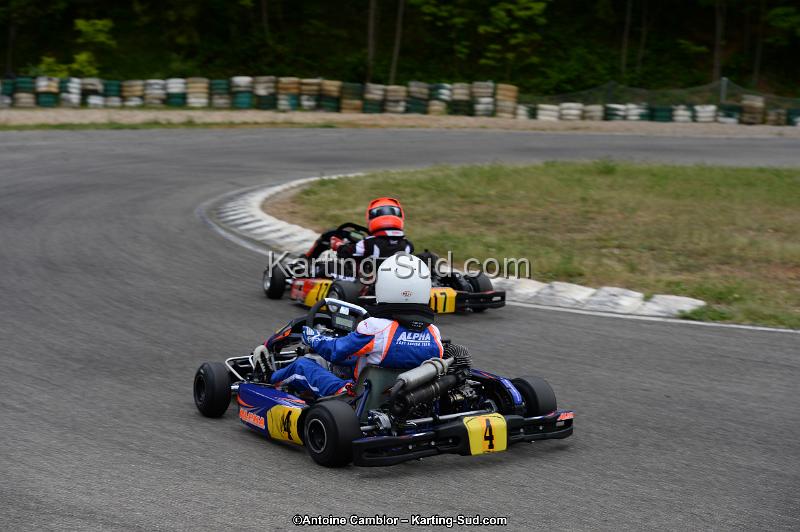 DSC_3486.jpg