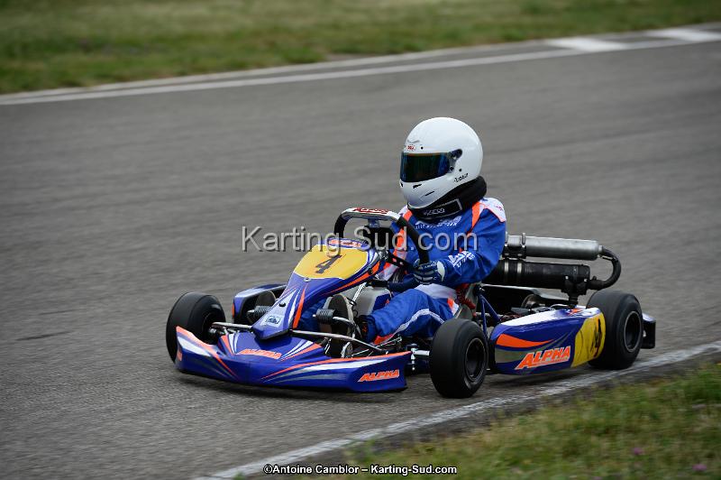 DSC_3493.jpg