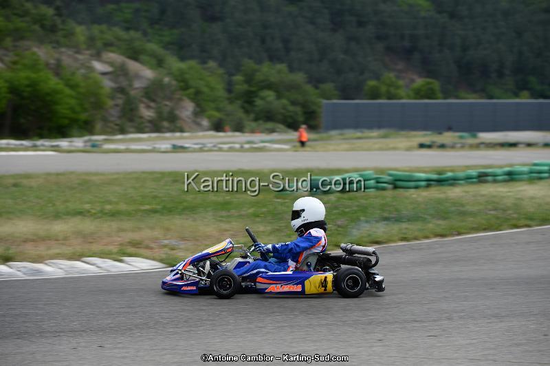 DSC_3501.jpg