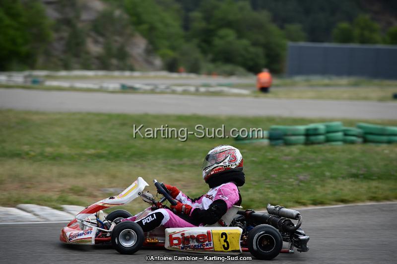 DSC_3504.jpg