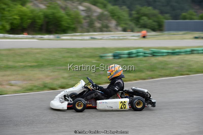 DSC_3509.jpg