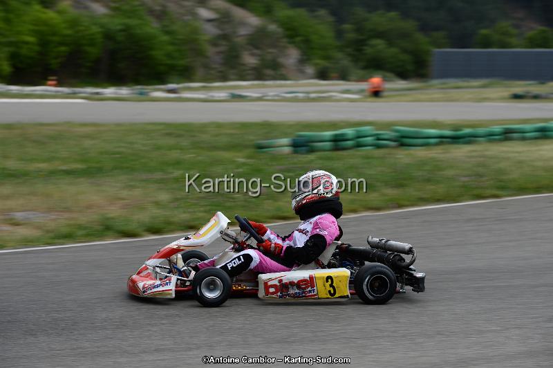 DSC_3510.jpg