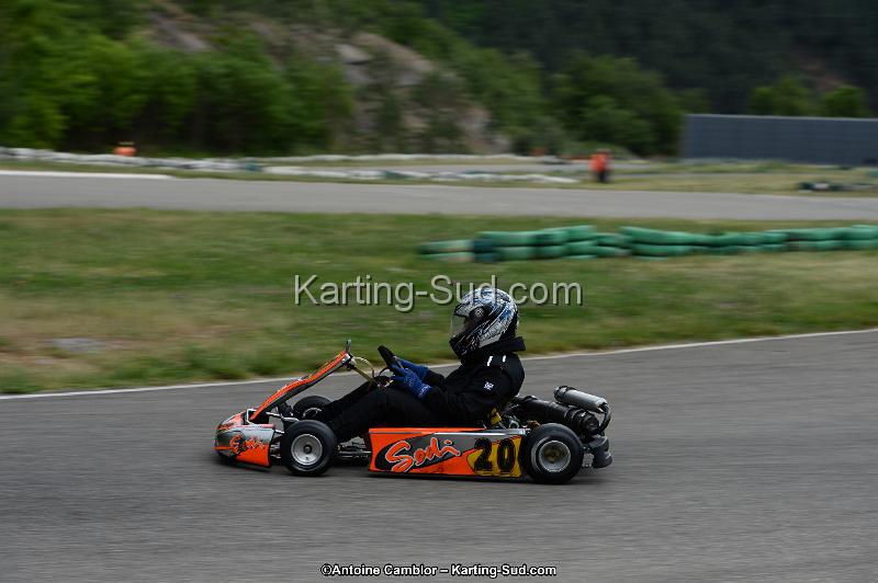 DSC_3517.jpg