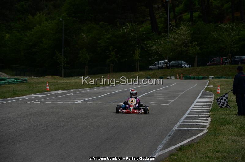 DSC_3522.jpg