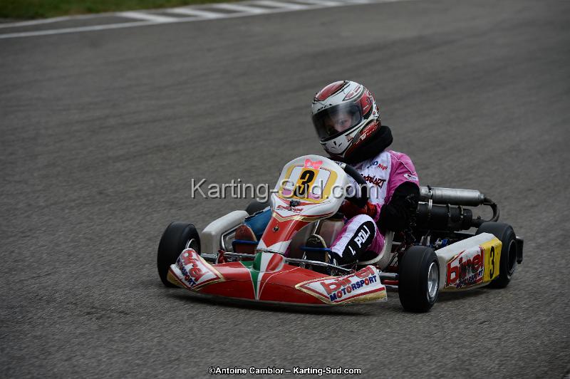 DSC_3523.jpg